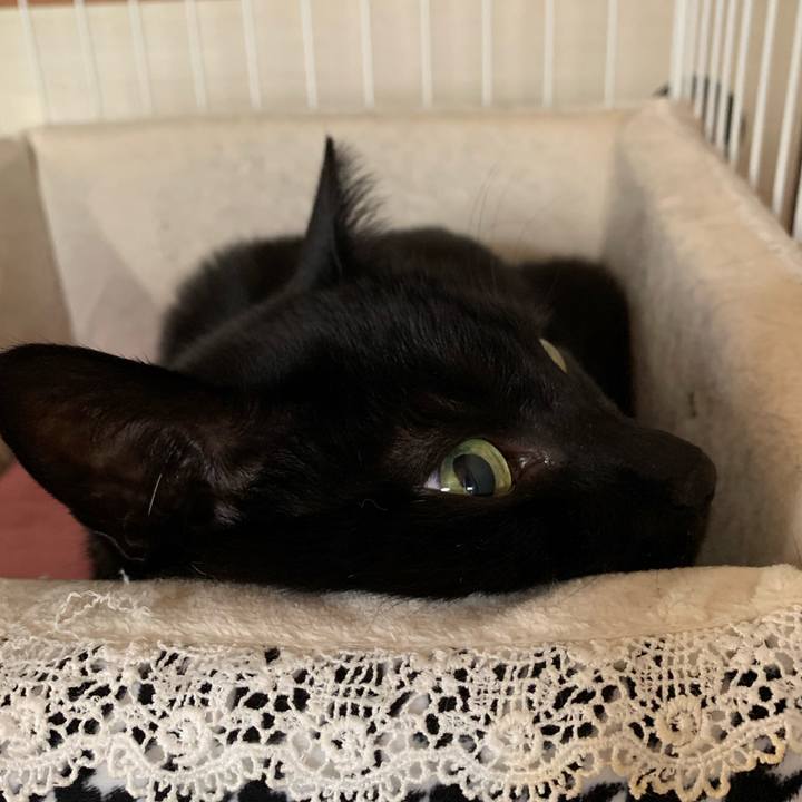 45c6566a ae42 4396 9156 7b61afb391c1 1550971221460