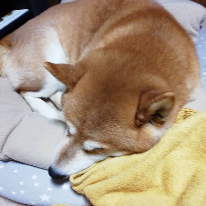 45c65ae3 440c 4ee2 8e9b 4fa37bc4a806 1675259883426