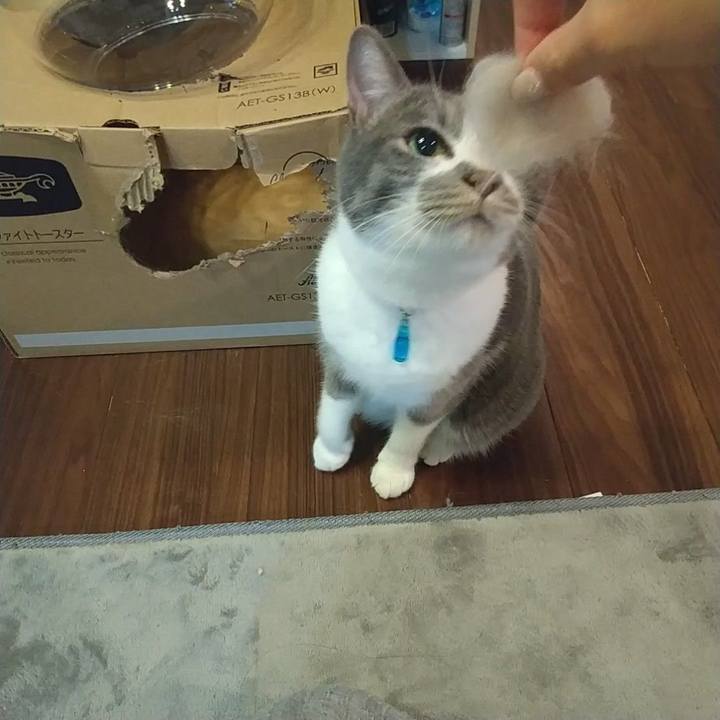 45c660b2 4f56 4872 b852 e127919042e2 1646314507182