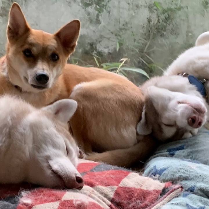 45c6c011 c7e9 4d08 83e1 7b952a9d1b0e 1606099164882