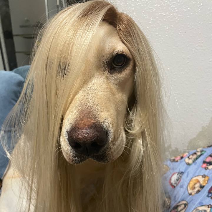 45c6faa4 23b3 425d aa22 34d48c1d6ce2 1644331312224