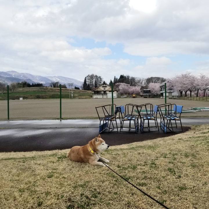 45c70f0a 3da9 4024 adb7 ec06ddc4a59e 1680928662436