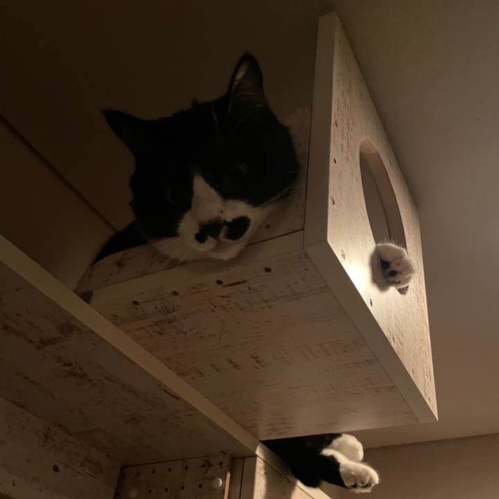 45c721ad 8327 43ca bf36 8d257a1dbe34 1730254268810