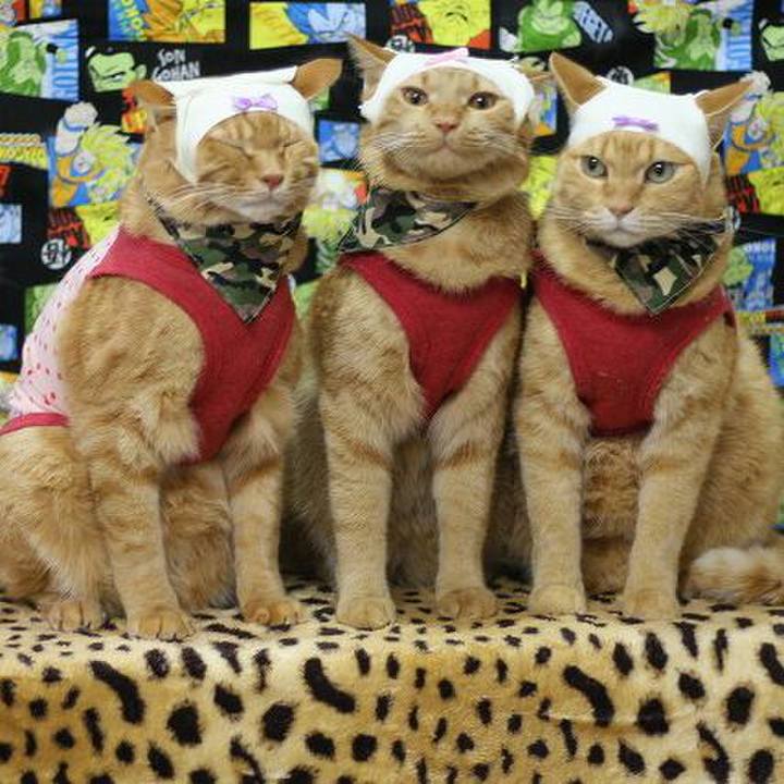 45c74787 94ad 407c bc31 7bebc880b500 1570102736911