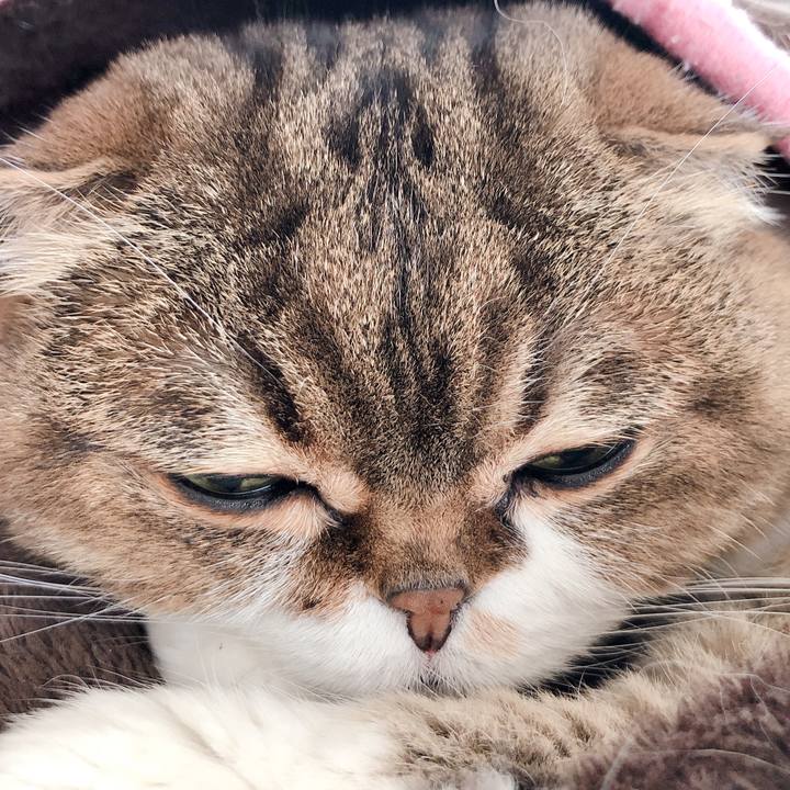 45c76f09 897d 47c0 b94c 93dc95add148 1586659975991