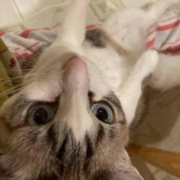 45c7737b 8cda 41c4 a247 e5f912010d68 1698065778140