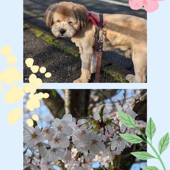 45c7749f b12e 4894 81df 43ad359fd848 1711928193883