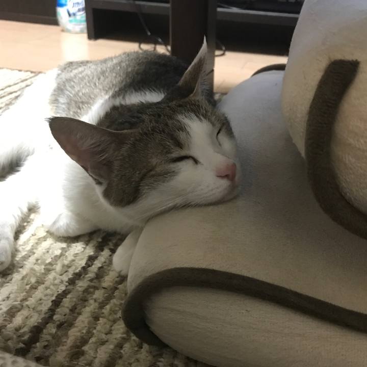 45c7857c 7c25 4111 99c4 9117c9dd2ee0 1660630417066