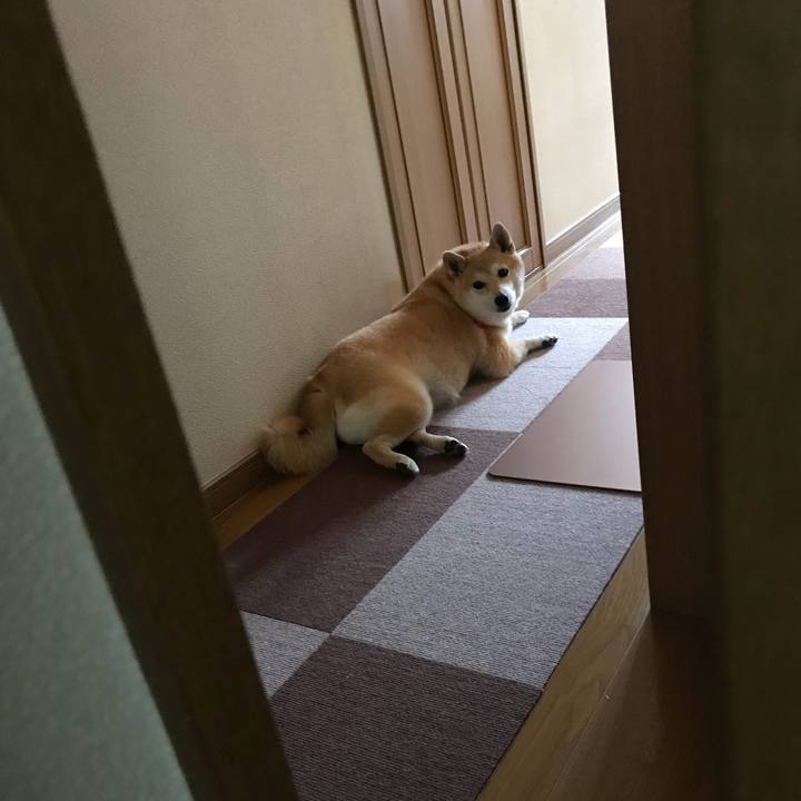 45c78b3c ea85 4af7 ab9a 8c3b38a7077f 1533811540089