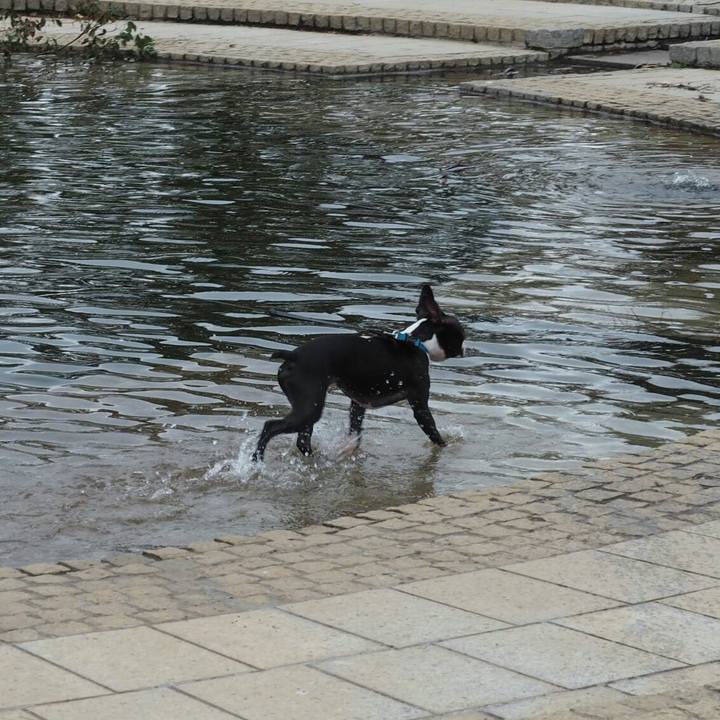 45c7bb60 fdb0 4213 99af 5846347b4457 1539488555156