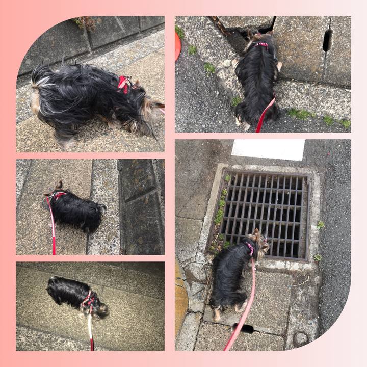 45c7c541 fe6b 4da4 a8fc 3083861647d1 1651278774996