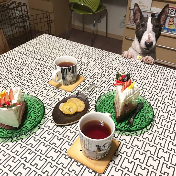 45c7d273 0154 4af6 acb9 3a82f0aaa55d 1514032354174