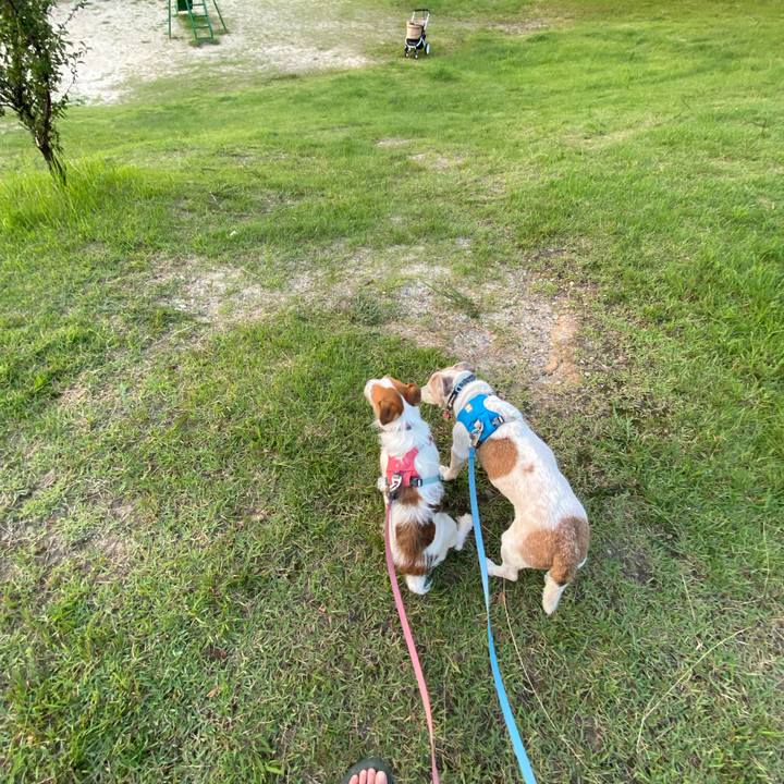 45c7d892 67d6 4e0c 84e0 067980f6d7ed 1720174012317