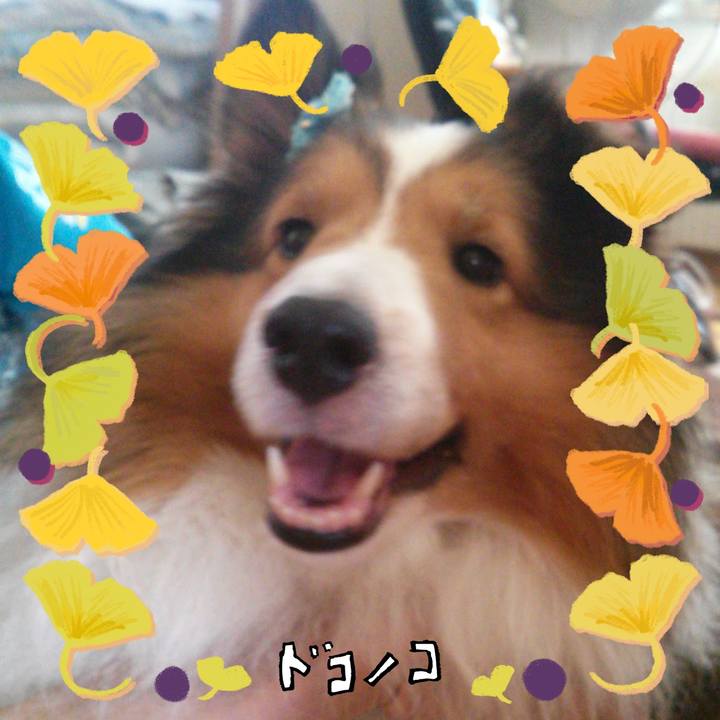 45c80bfd f2fa 4ed9 9d7f f3c9360da286 1729590735124