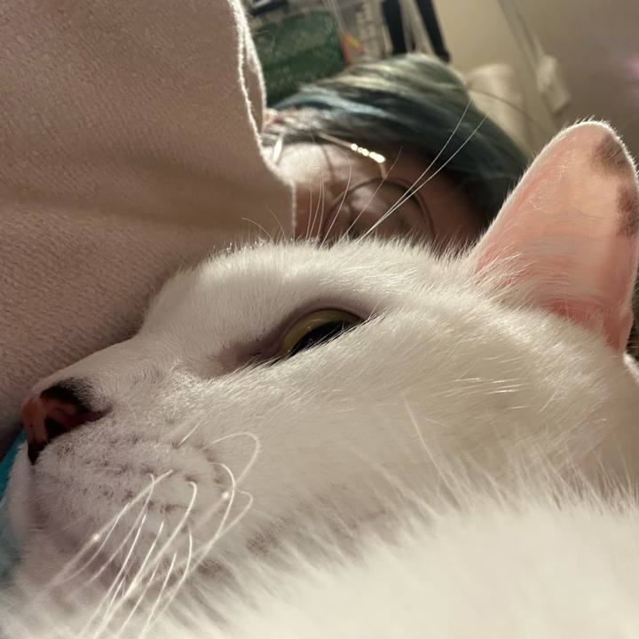 45c81306 80ea 49ab af6f 2c2bbcac0c6a 1761667172908