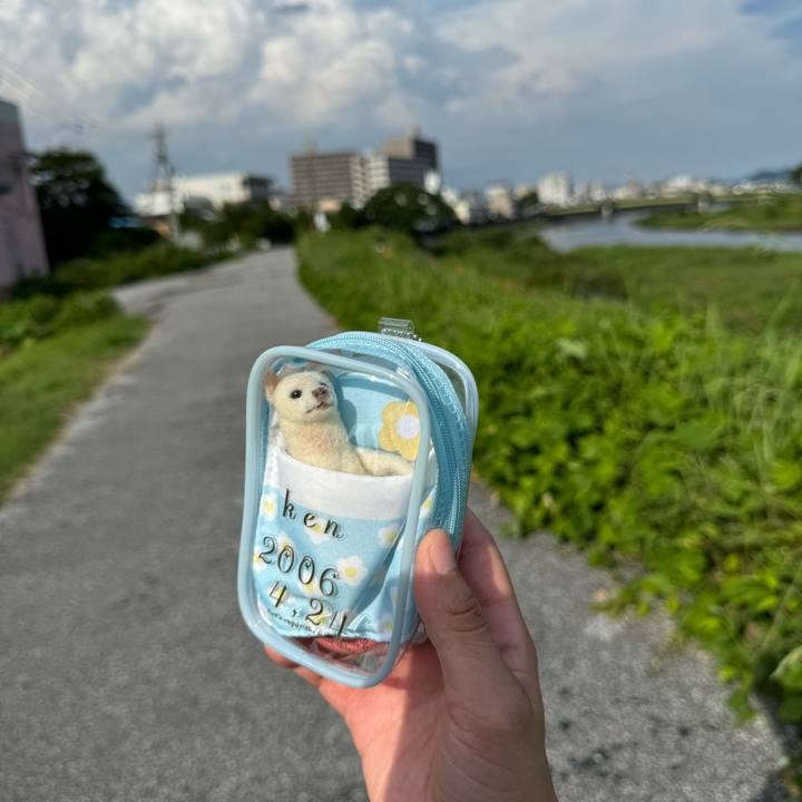 45c82cad d09d 4c39 975e df0ed760b247 1721471789243