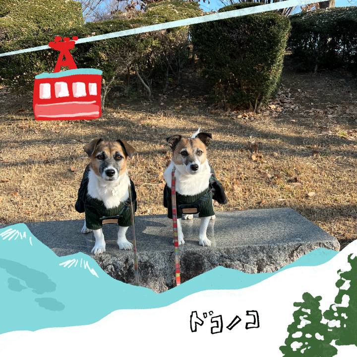 45c83222 957c 4e8b b07f 49cdf0a393dc 1706795622628