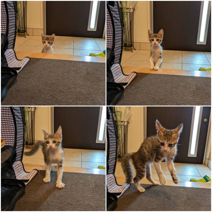 45c835a0 e584 4a86 b0c3 1568d7d73eae 1728436164327