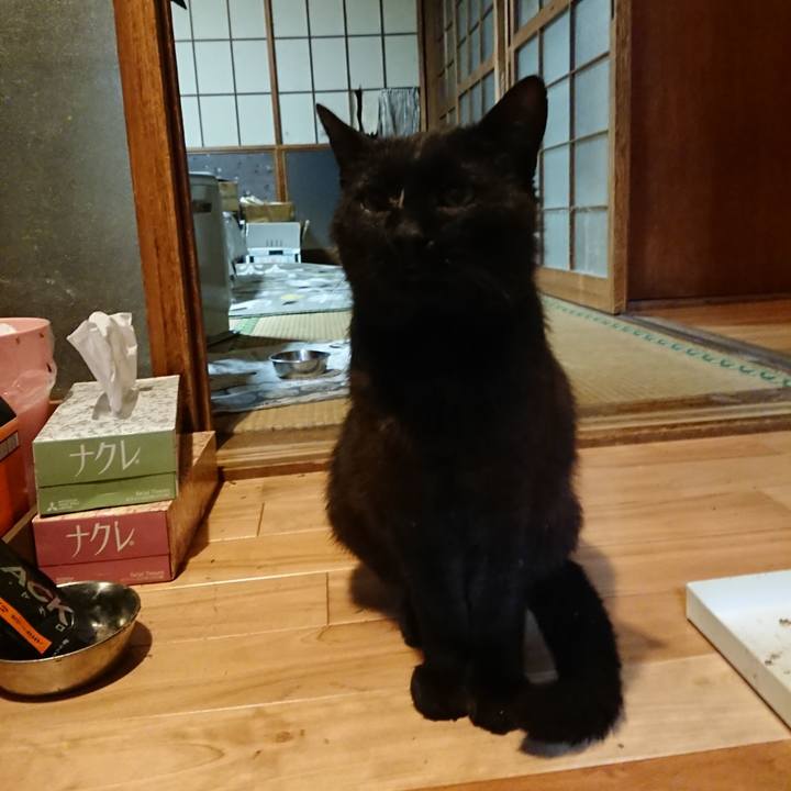 45c83cf9 9e96 4551 9e27 249696f47f24 1623758102002