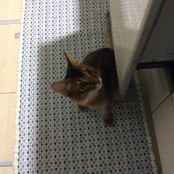 45c840ee 74fa 42db 8e8e 39fbd0cdc547 1566850944460