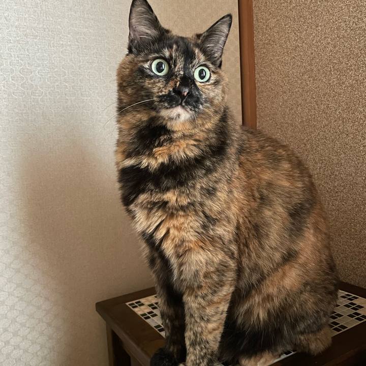 45c8b240 2956 470d ad70 d061dd0c42d7 1748384524980