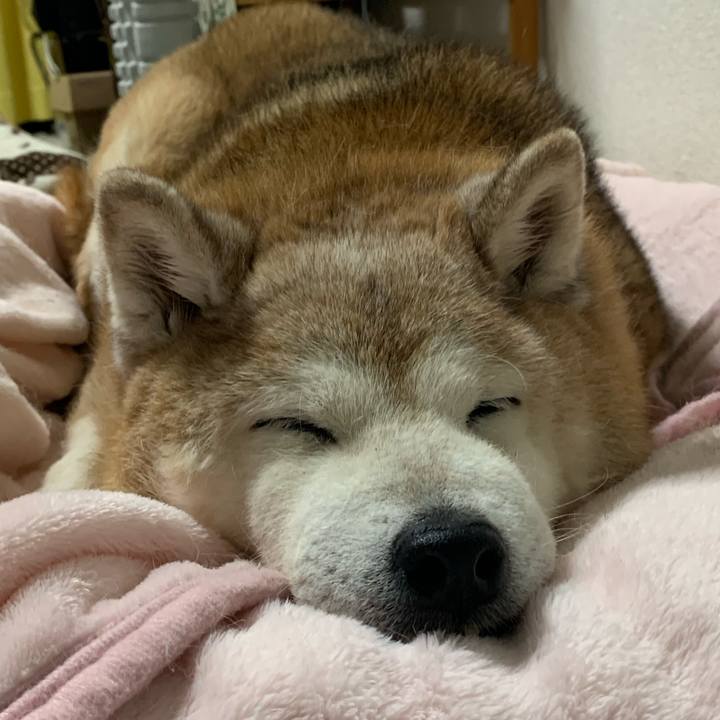 45c8be16 aebd 4997 a859 2c41b0a5bf17 1670679845398