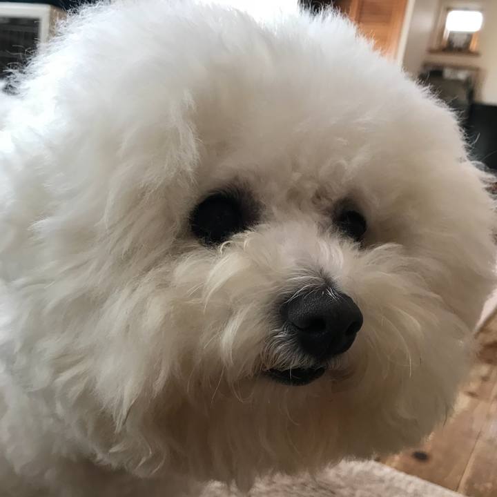 45c8c662 83b2 47fd 9fbf 59672e6b2f33 1556420771572