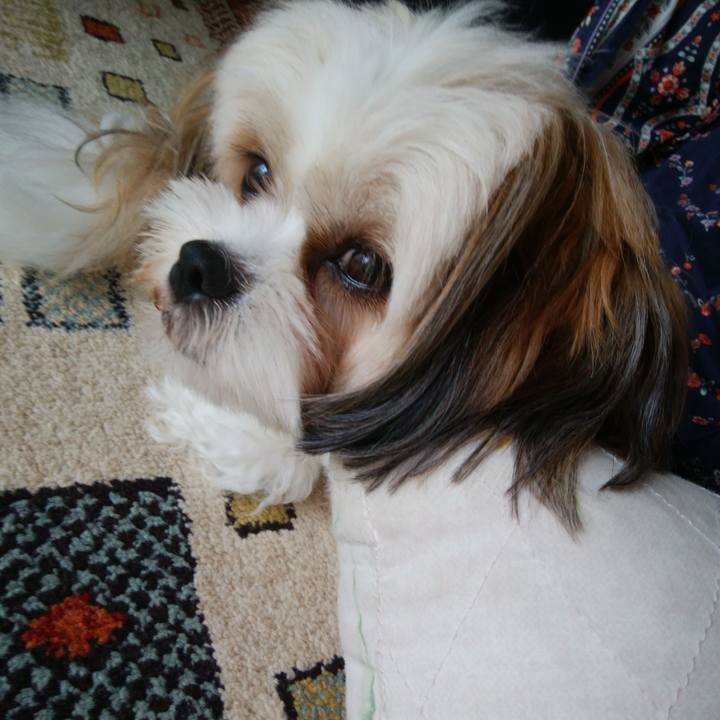 45c8e5d8 7a42 4e36 851d 32b8d51f04a8 1536807989474