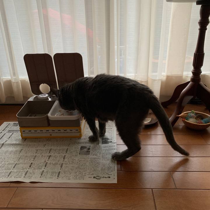 45c8f11c fd71 4350 b8b8 a67d74ae8c6a 1566001875709