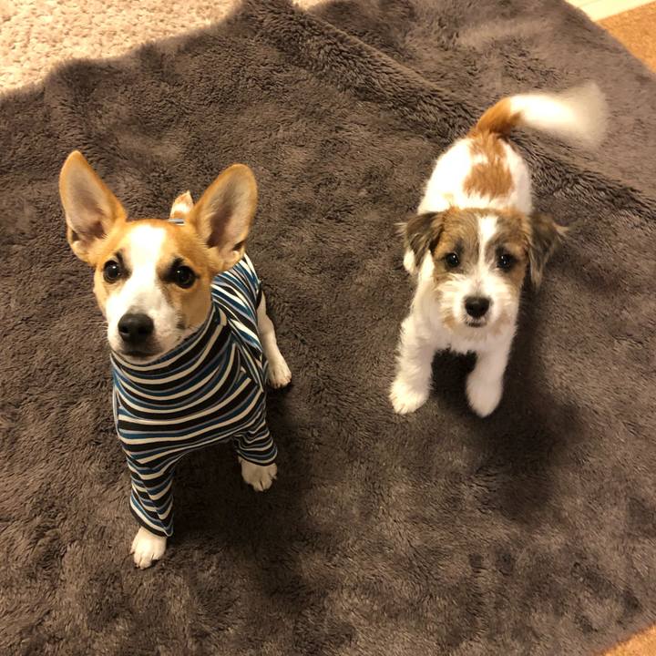 45c8f170 1db2 4fc6 b680 006415efdb84 1575075872039