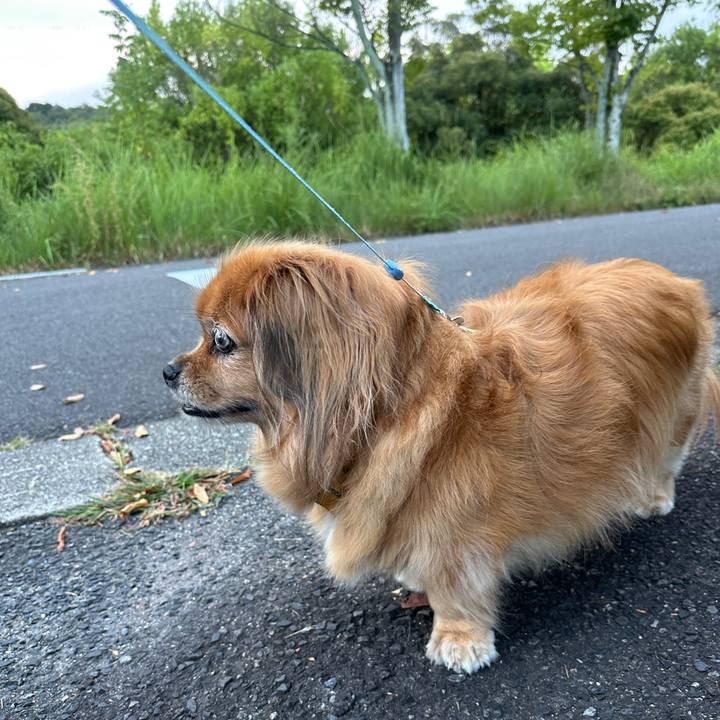 45c9739f f899 48cf 882b 927b1a7d5984 1756847543720