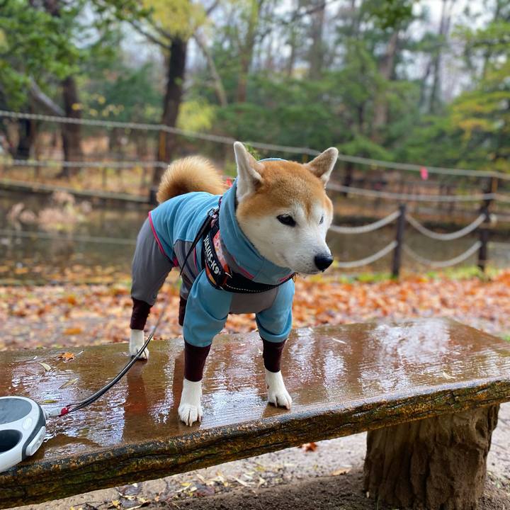 45c973dc 8970 4e04 b3da 86a3bea6d7d5 1668393412121