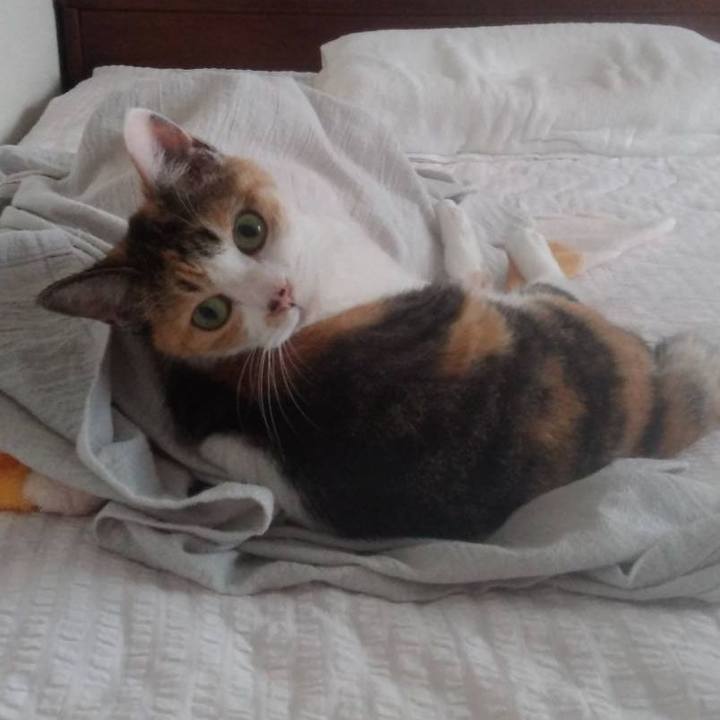 45c987fb e366 4d3d 8425 c891ffce5c84 1692262520299