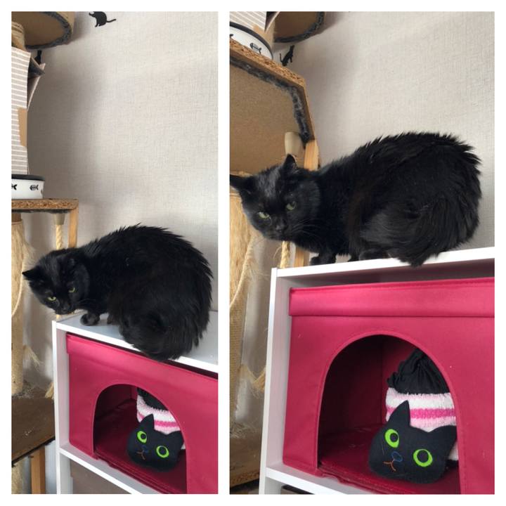 45c9bea9 418f 43a6 b6b1 10f8050f38eb 1610164713728