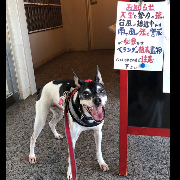 45c9d585 7630 42d5 8ff6 68a353f1b7f5 1565734049790