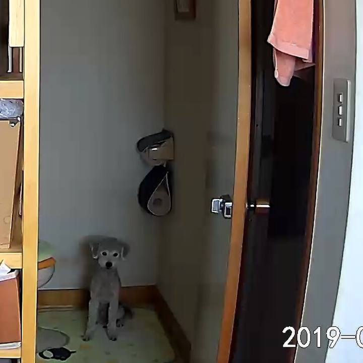 45c9dcd5 910f 4c67 b178 e1c6aa53abb6 1565418133507