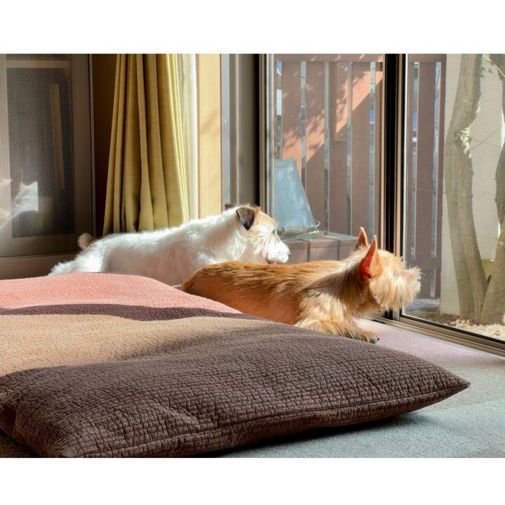 45ca46a1 c3d8 4d48 8855 4b7941489077 1729433094359