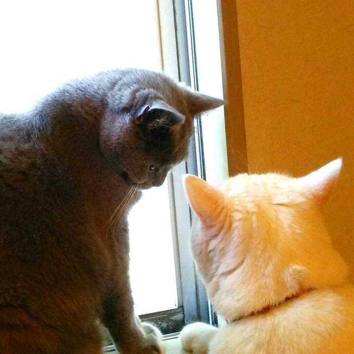 45ca8755 b5de 43a8 bfdf 2ea096d427c4 1555194362974