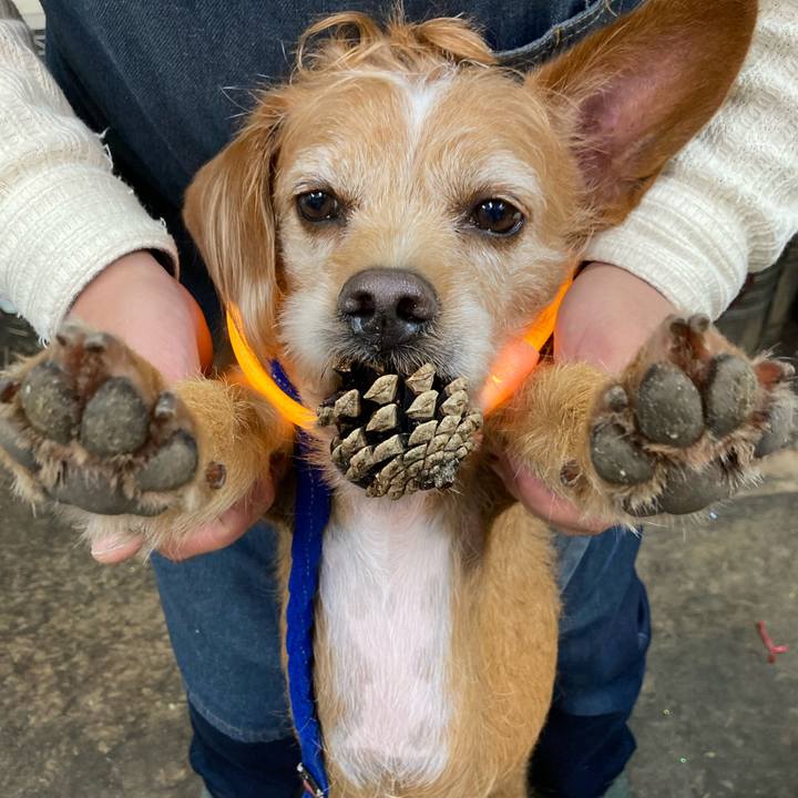 45cac4b7 b939 4d0b b8ee d3ca6d31c14f 1669451217630