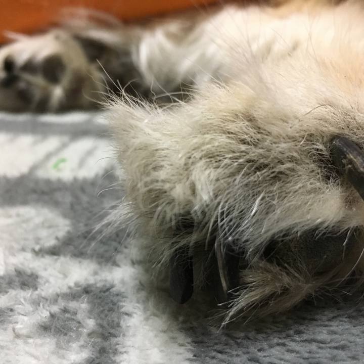 45cad937 d5c3 4b0d 9dd5 d82071422fc8 1598237897887