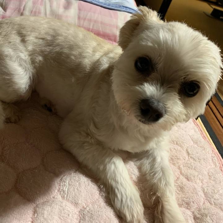 45cae60e f0cd 45ca 8a5a 9a428134b304 1592736719601