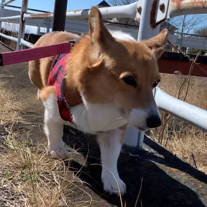 45cb0bd7 edd6 4ebd 9d53 25cc24b7569e 1677295987127