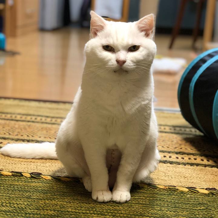 45cb6598 92cd 46f6 8402 0d70a813720e 1567682463850