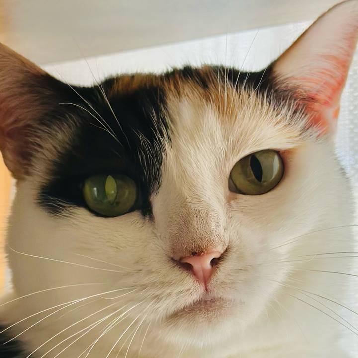 45cb8ffa 10cb 4d71 a2f8 38801bfeec0b 1723510667027