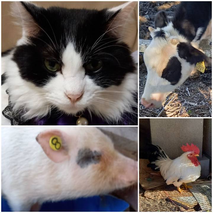 45cbb720 8bc4 49a2 bd0f 23e0fa97d44d 1634890686986