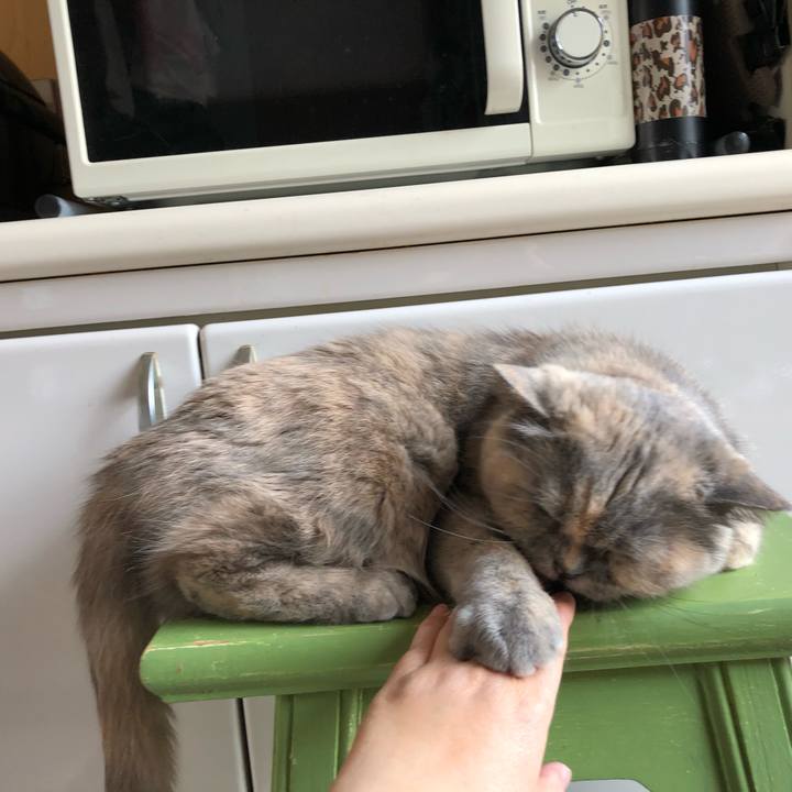 45cbbf75 f528 46bd 99fa a7f98864376a 1774889965400