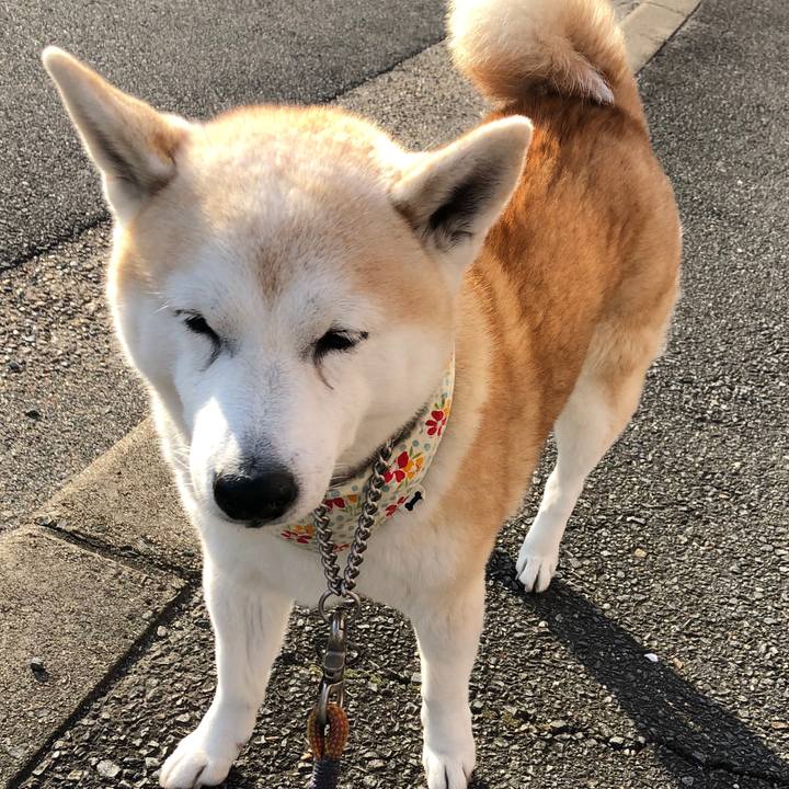 45cbc1cd 8559 4614 8e18 05197845f12d 1545214590205