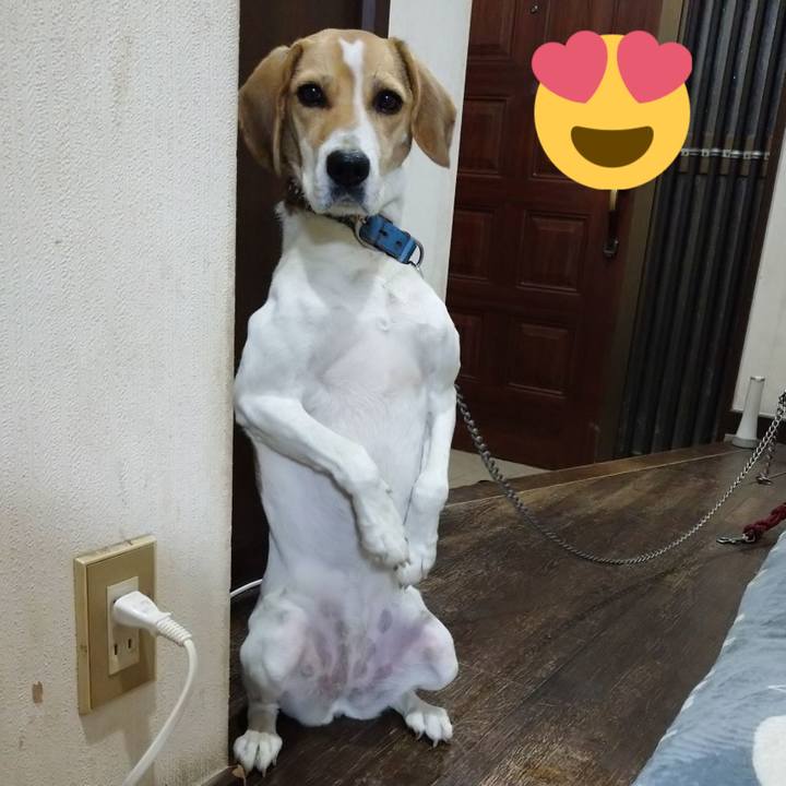 45cbdfe8 5507 4970 a369 09e6512ab0fc 1606735799527