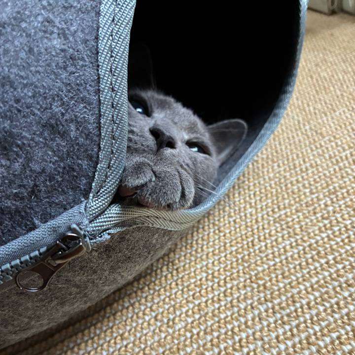 45cbfa66 040d 42ae b6ae 4c736742716d 1750226016883