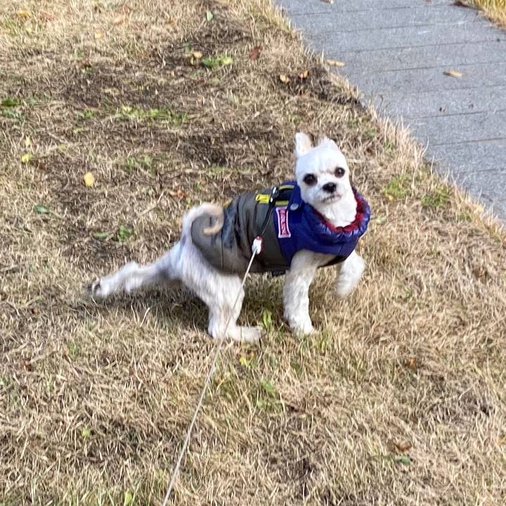 45cc1973 ae52 4d8b 85cb b1459260f329 1575601222311